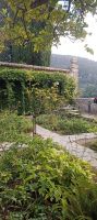 Valldemossa