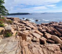 Im Acadia NP (8)