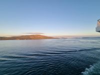 Impressionen der Küste (5)