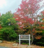Im Acadia NP (20)