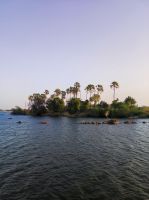 Sundowner-Cruise auf dem Sambesi in Simbabwe