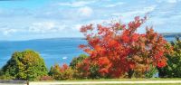 Countryside Maine (15)