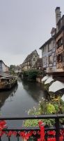 Colmar