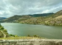 Weinanbaugebiete im Douro-Tal 