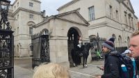 Die Horse Guard postiert sich 