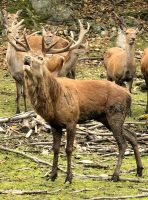 Wir werden begrüßt im Omegapark