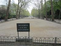 Pétanqueplatz im Jardin du Luxembourg