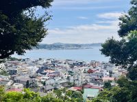 Tag 5 - Blick auf die Küste Japans 