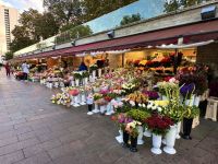 Blumenmarkt in der Altstadt