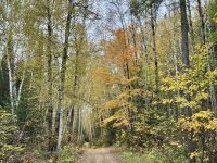8. Tag – Erholung am Lac Taureau – Herbstlicher Waldspaziergang