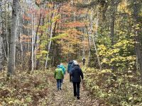 8. Tag – Erholung am Lac Taureau – Herbstlicher Waldspaziergang
