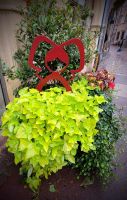 0301 Colmar