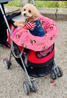 Tag 7 - Kuriositäten 