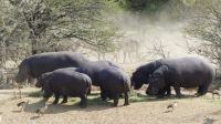 Namibia - Mount Etjo Lodge