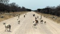 Namibia - unterwegs