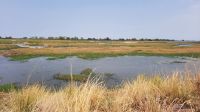 Namibia - Pirschfahrt im Buffalo Park