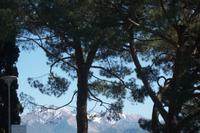 Blick von Locarno auf die Berge