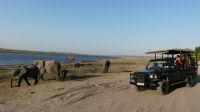Botswana - Pirschfahrt im Chobe