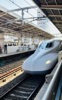 Tag 8 - Shinkansen 