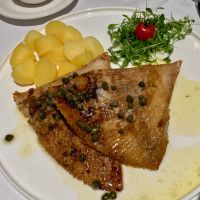 köstlich aus dem nahen Meer: Rochen