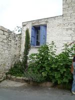 Weindorf im Trodos-Gebirge