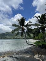 Hotel Fishermans Cove Resort 