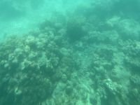 Saint-Anne Marine National Park - Glasbodenboot