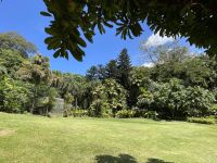 Inselrundfahrt Mahé Teil 2 - Botanischer Garten von Victoria