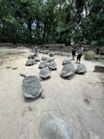 Inselrundfahrt Mahé Teil 2 - Botanischer Garten von Victoria