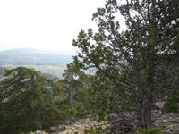 Wanderung im Trodos-Gebirge