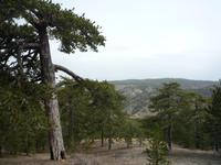 Wanderung im Trodos-Gebirge