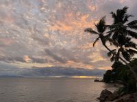 Willkommen auf Praslin - im Hotel Coco de Mer