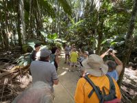 Inselrundfahrt Praslin - Vallée de Mai Nationalpark