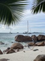 Inselrundfahrt Praslin - Anse Lazio Beach