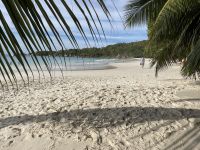 Inselrundfahrt Praslin - Anse Lazio Beach