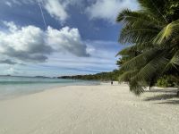 Inselrundfahrt Praslin - Anse Lazio Beach