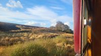 116 North Yorkshire Moors