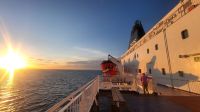 130 DFDS