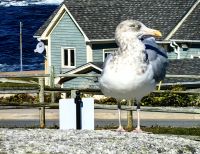 Wo ist mein Anteil vom Brötchen?