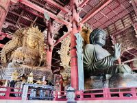 Tag 10 - Buddhas im Todai-ji Tempel
