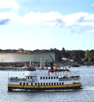 Vor uns sehen wir einen der 