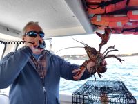 Unser Kapitän präsentiert uns einen weiblichen Riesenhummer voller Eier