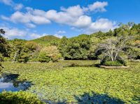 Tag 11 - Ryoanji-Tempelanlage