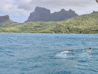 Bootsausflug in die Lagune von Bora Bora
