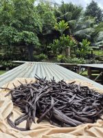 Taha´a - Vanillefarm