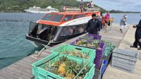 Moorea - frisches Obst für die Paul Gauguin