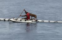 Beobachtung während des Frühstücks im Hilton Hotel