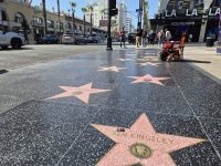 Hollywood