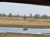 Besuch zum Mittagessen.jpg