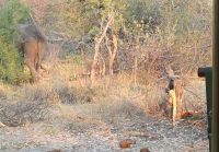 Weckdienst ist ferig.jpg